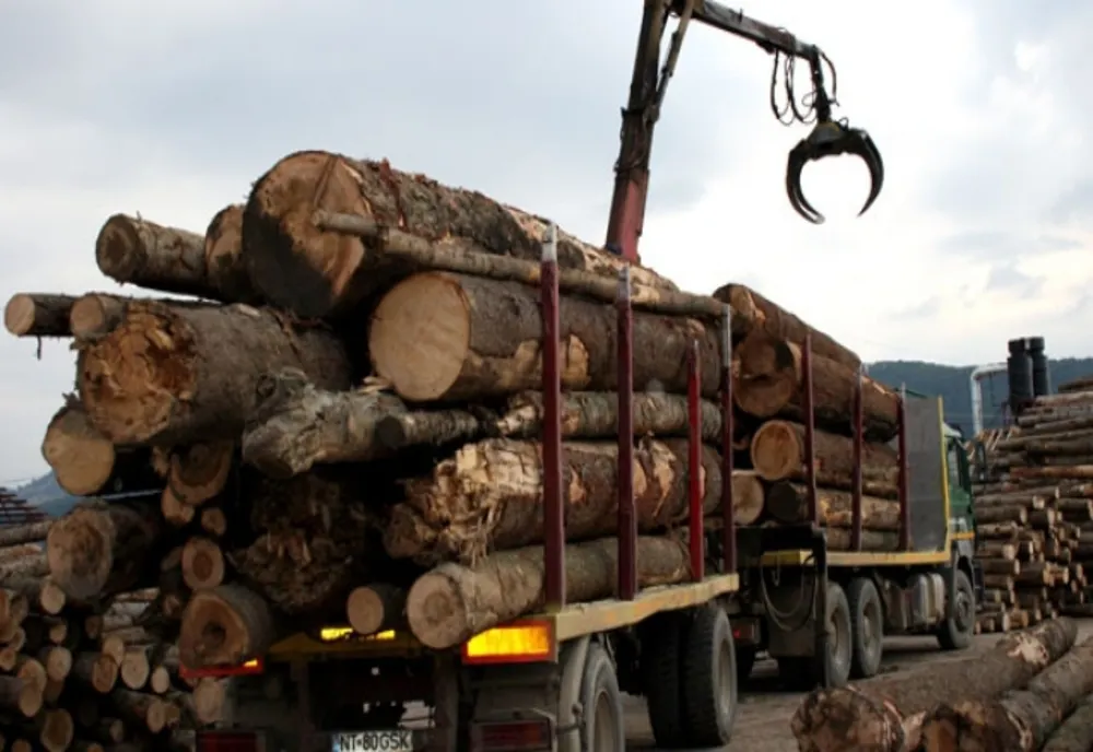 Amendă pentru un jinar care transporta lemne ilegal. Tânărul nu avea nici permis de conducere