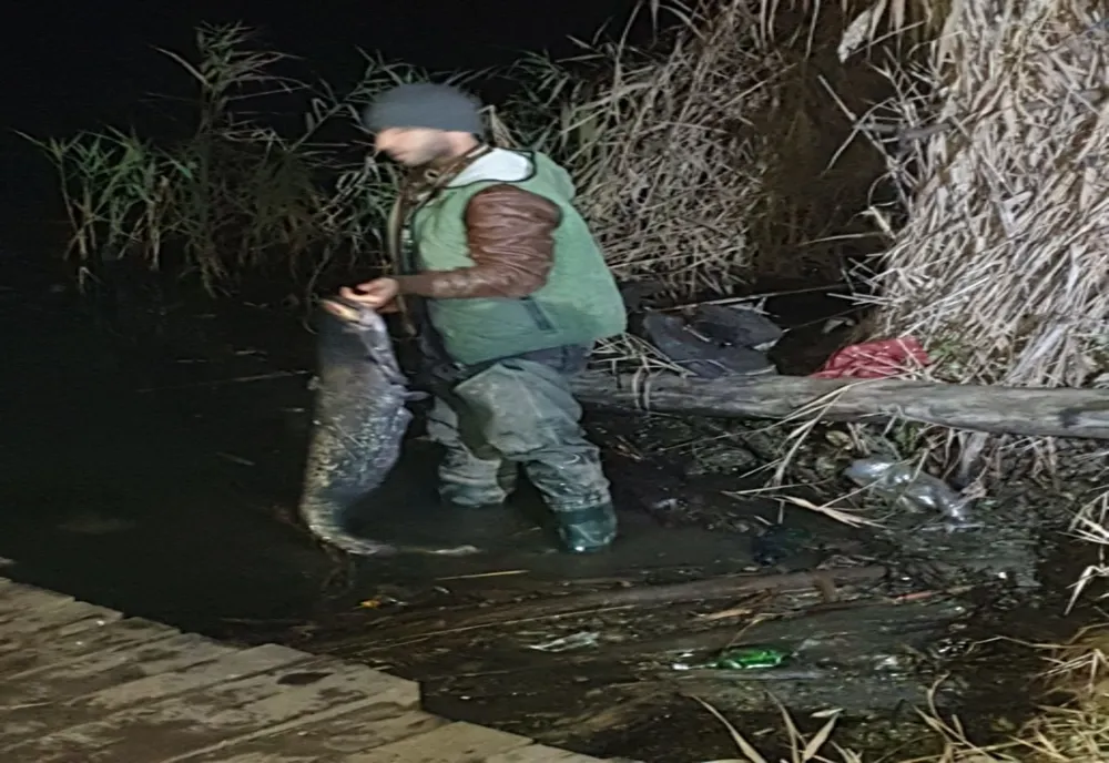 Braconaj piscicol pe Olt. Peste 300 de kilograme de pește, eliberate în apă