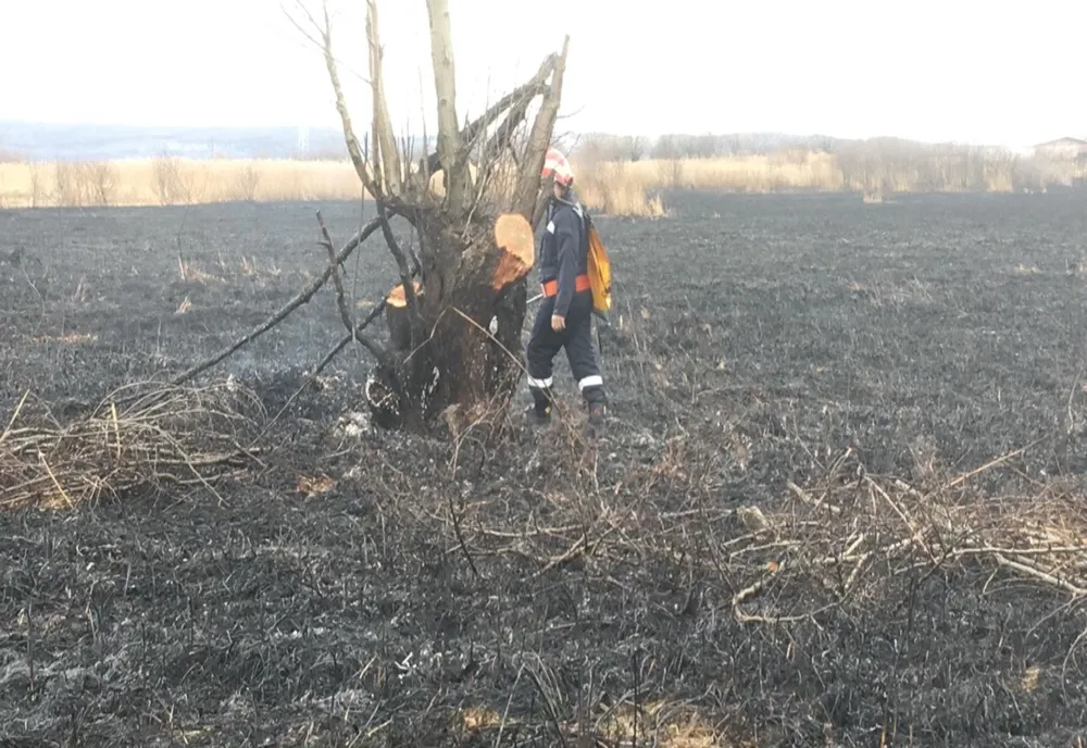 Incendiu de vegetație uscată, în Vale