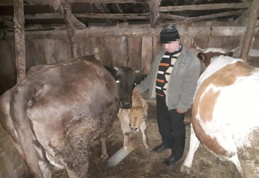 Doi sibieni, reţinuţi de poliţiştii din Vâlcea, după ce ar fi furat mai multe animale. Prejudiciu de 15.000 lei