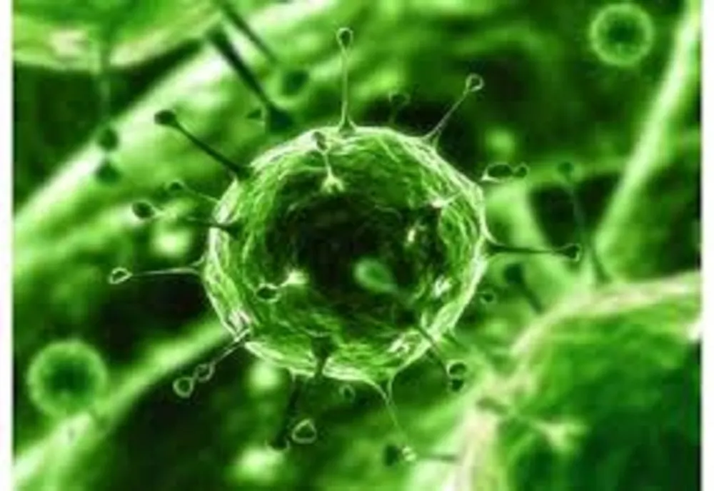 GERMANIA - Primul caz de coronavirus confirmat 