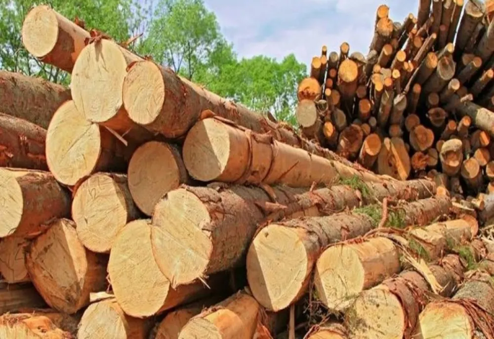 Gurean amendat cu 1.500 de lei, după ce a transportat ilegal lemne