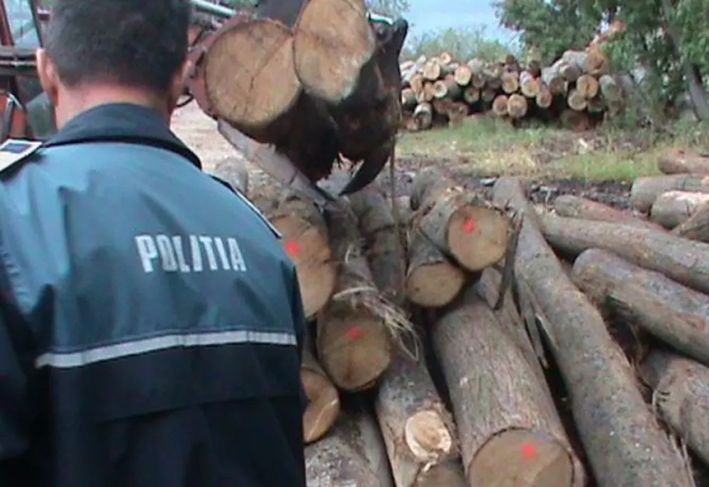 Dosar penal la regimul silvic