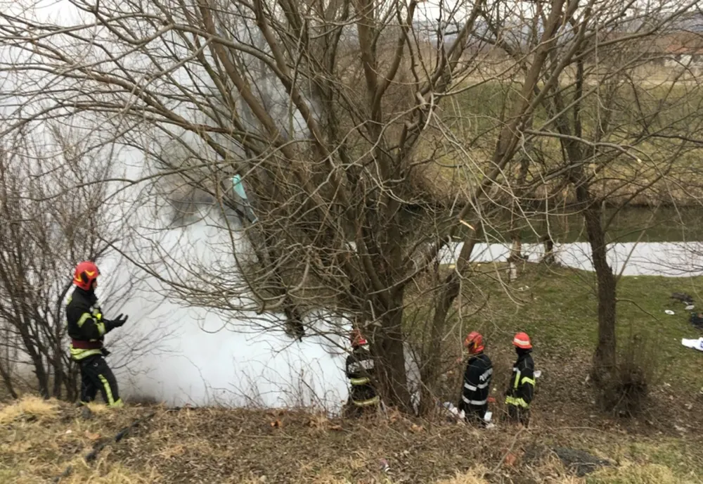 Copac în flăcări, pe malul râului Cibin!