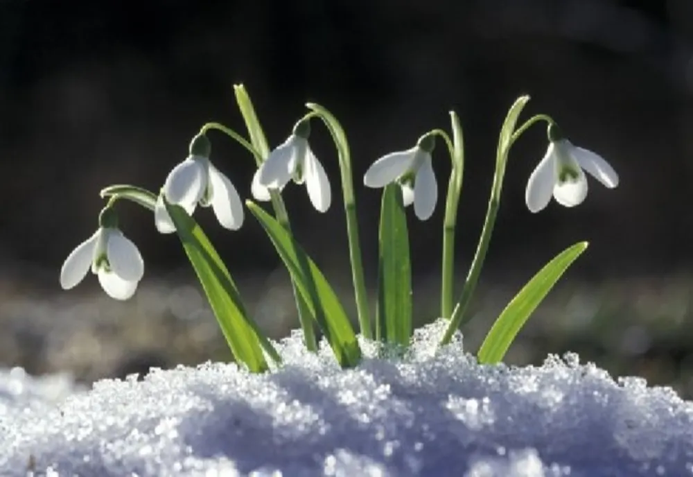 Vremea 16 februarie - Temperaturile în creștere. Unde va fi cel mai cald