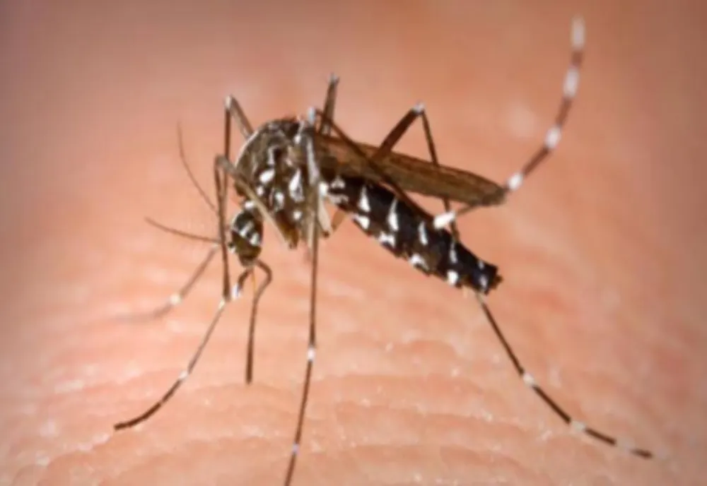 Virusul West-Nile, tot mai prezent în Europa! Aproape 200 de persoane infectate, dintre care două în România