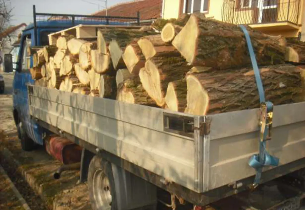 Sancționat contravențional pentru că a transportat material lemnos fără documente