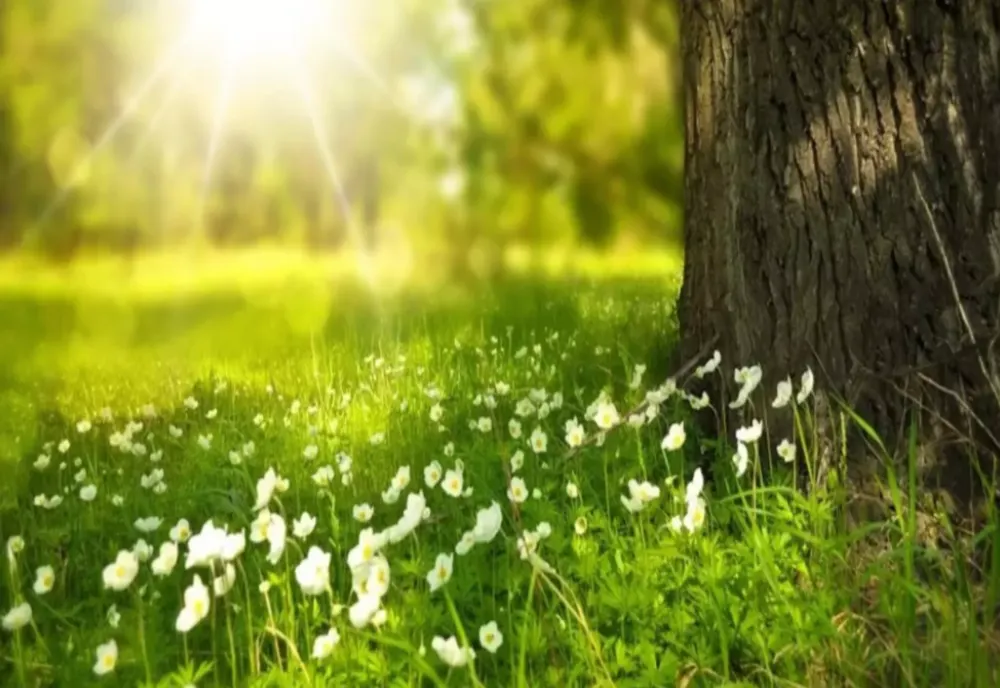 Prognoza meteo ANM 22 mai - 19 iunie 2023. Fenomene meteo extreme şi vreme caldă