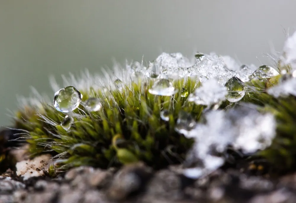 Vremea 30 ianuarie. Prognoza meteo actualizată