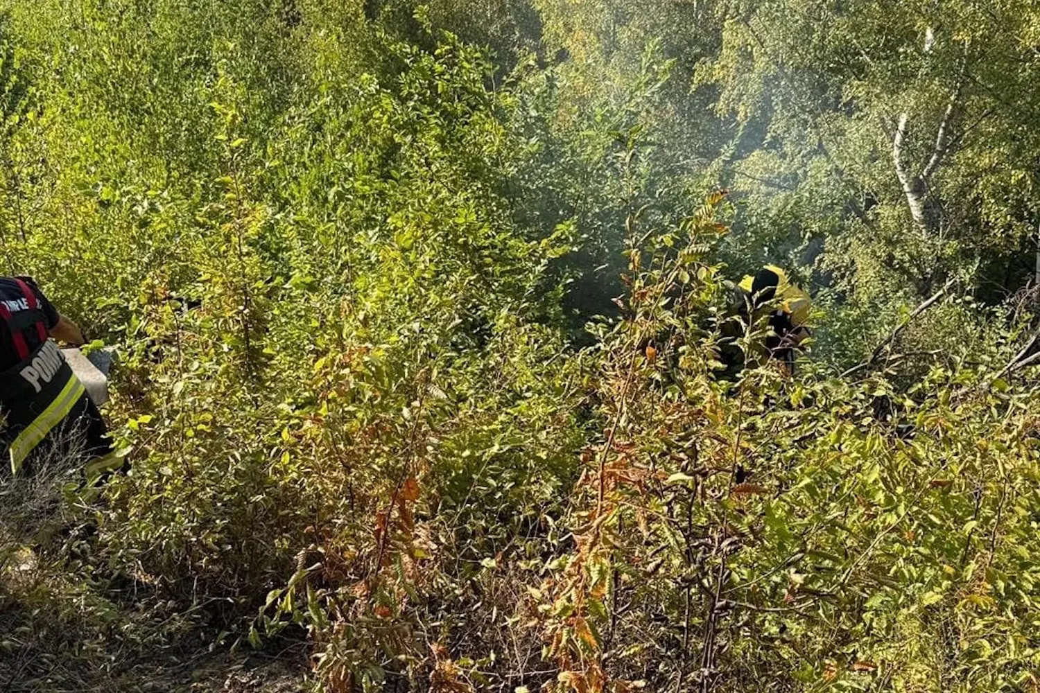 Incendiu de pădure