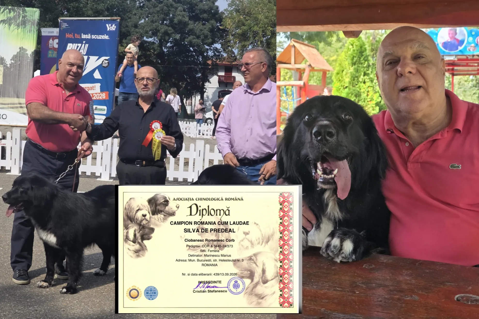Performanță spectaculoasă pentru cățelușa lui Marius Marinescu