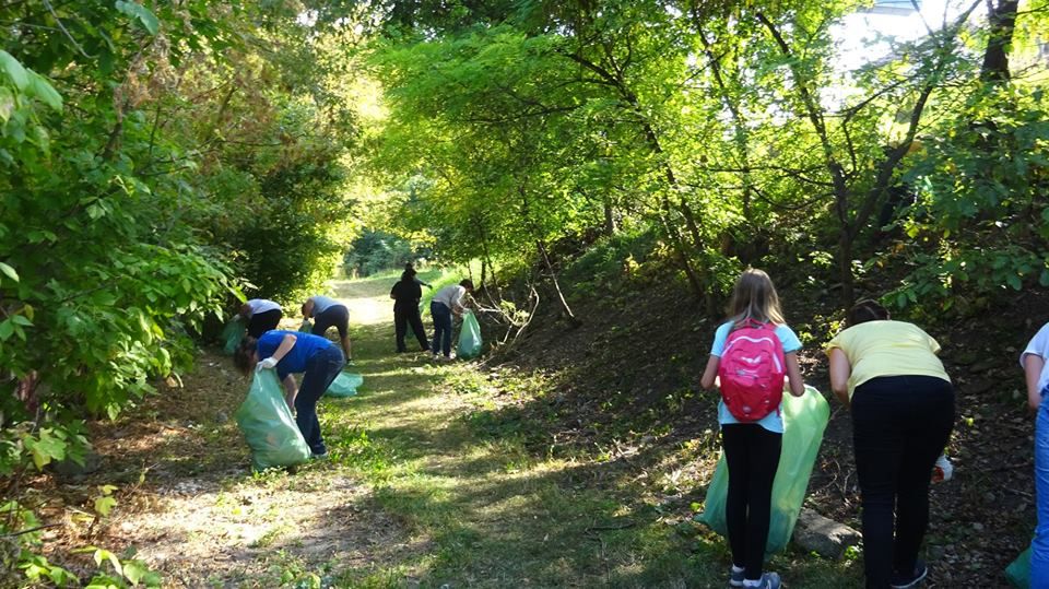 41894066_1807055325997784_2064060625604050944_n