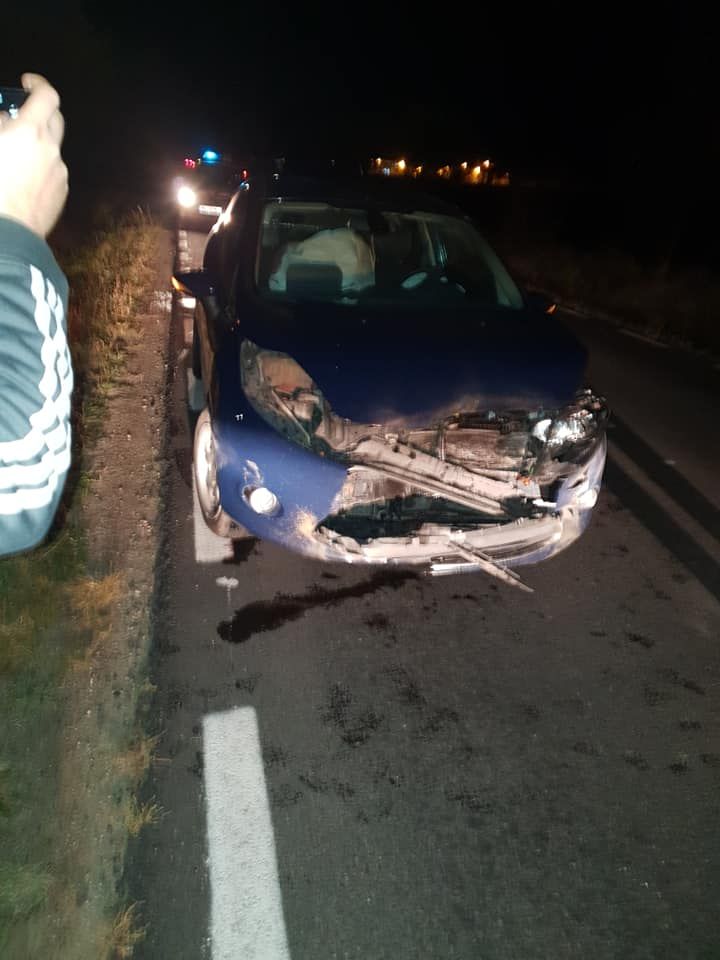 44819293_2139503646301061_4947875872011976704_n