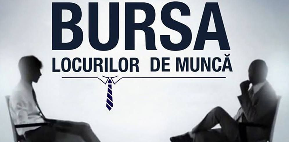 bursa-locurilor-de-munca