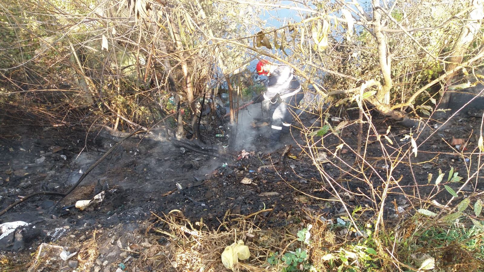 incendiu de vegetatie