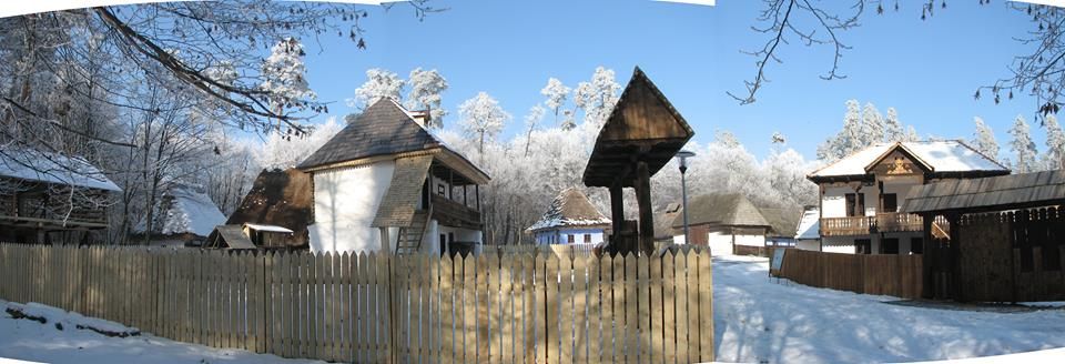 15965059_241184356309376_1097900484723839003_n