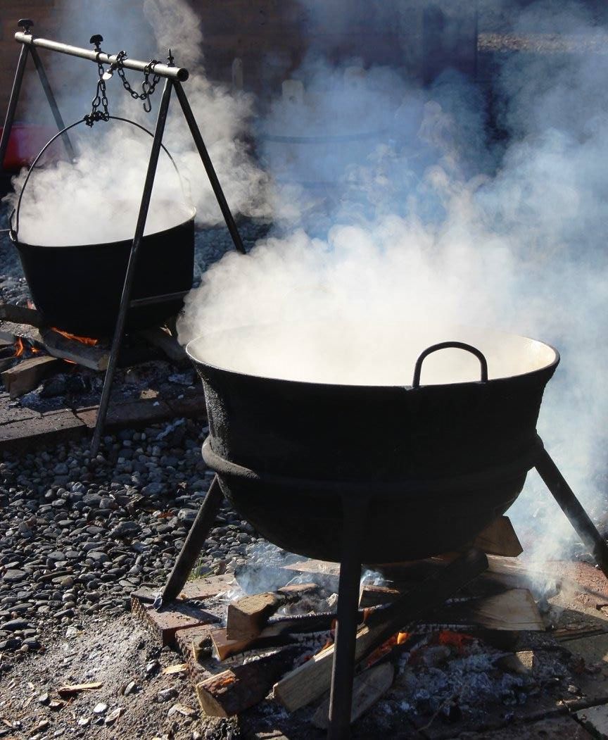 iarna targ de tara Muzeul ASTRA (3)