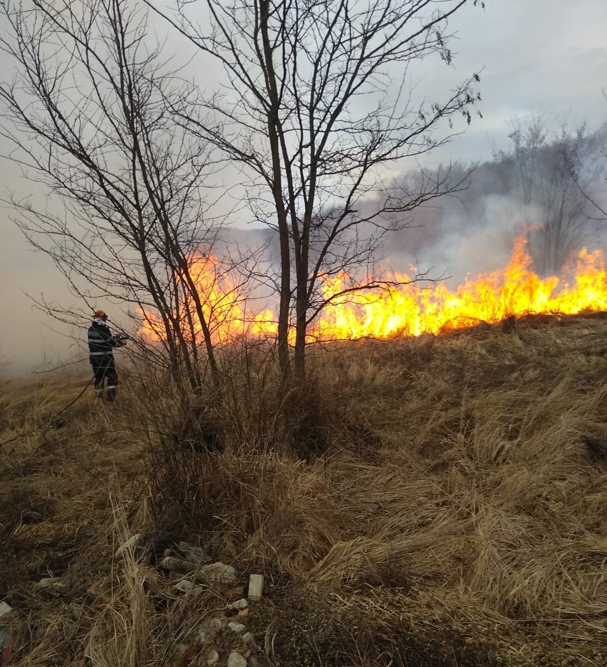 1ffe075e-feea-46c9-9503-7c16bcb42465