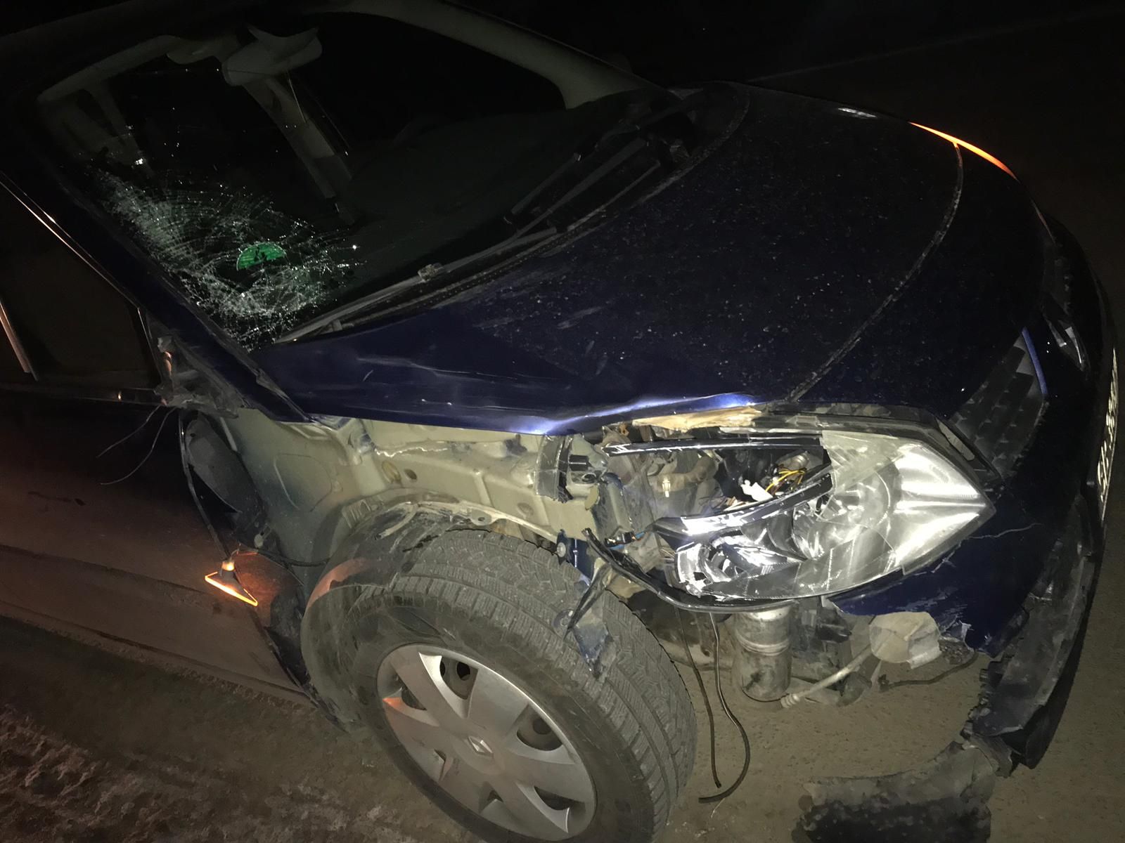 4119942a-089b-4c15-b6e8-a5cd9678a6e8