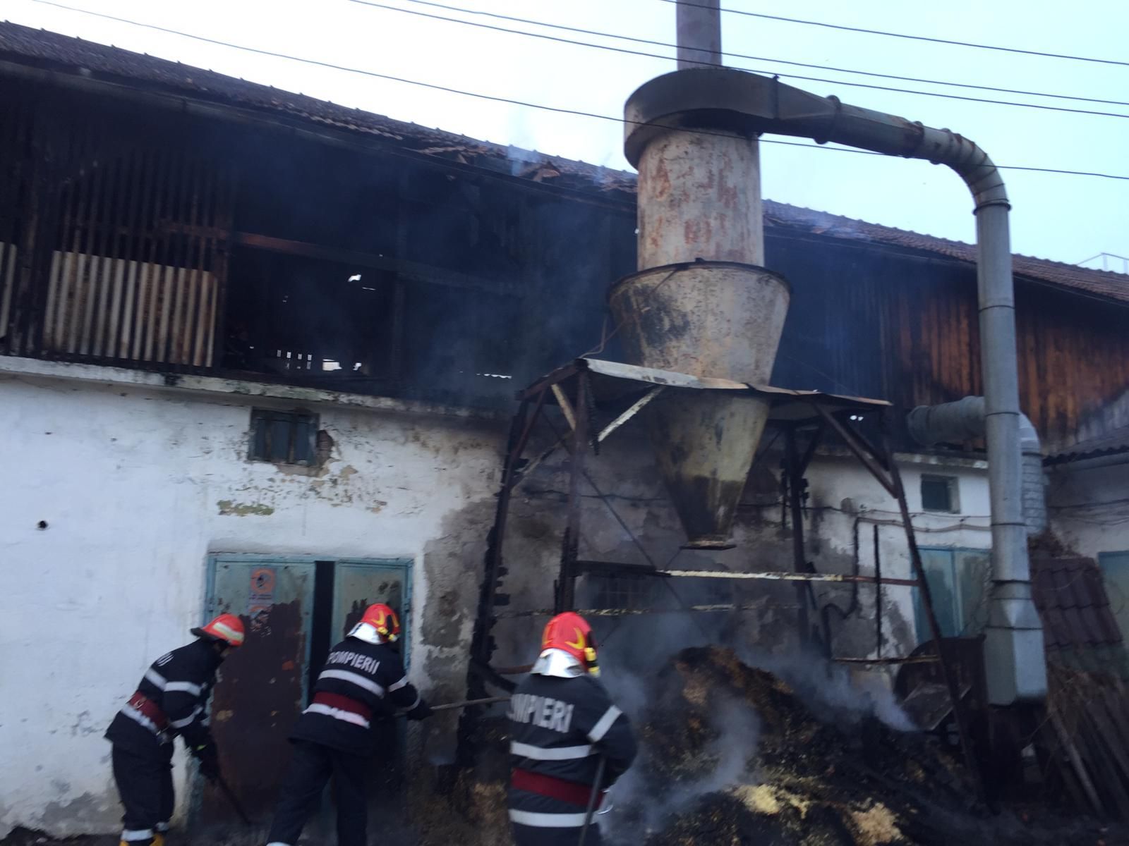 89933da4-f775-4f47-ab40-a95195f463a0