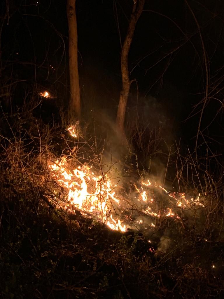 3467785b-b9ec-4050-a034-cacd50188b5b