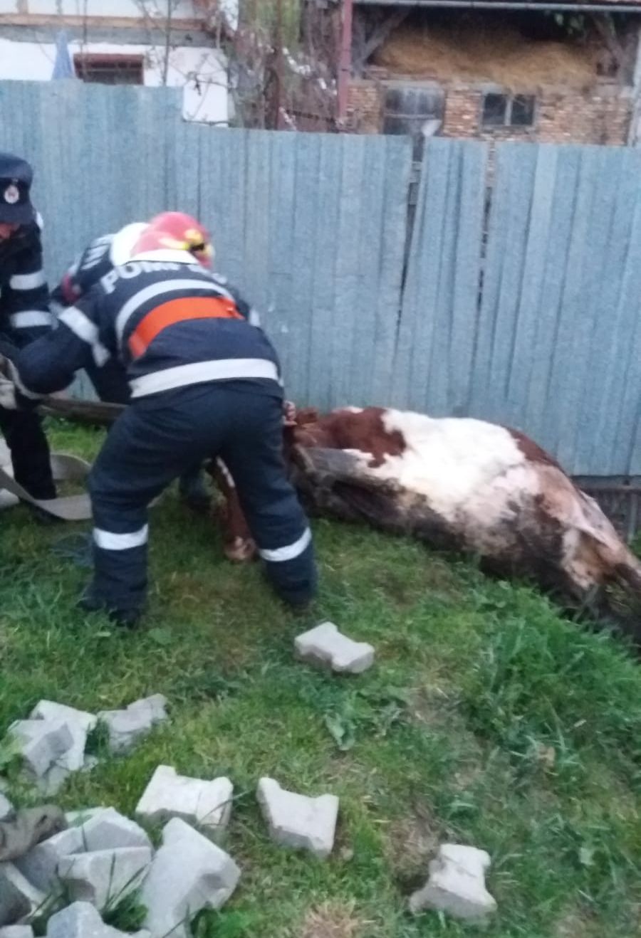 3e69b958-feea-4790-92e9-dd14d363b7d9