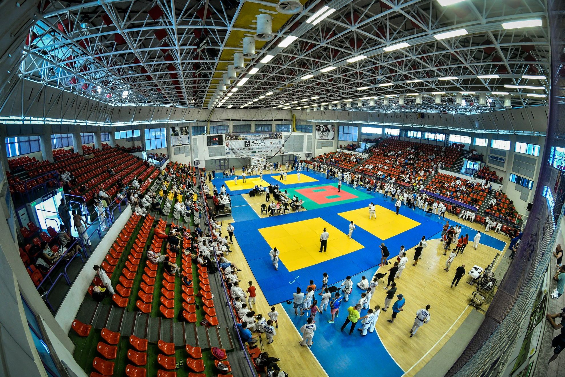 61566257_2317632631834559_4504506325031452672_o