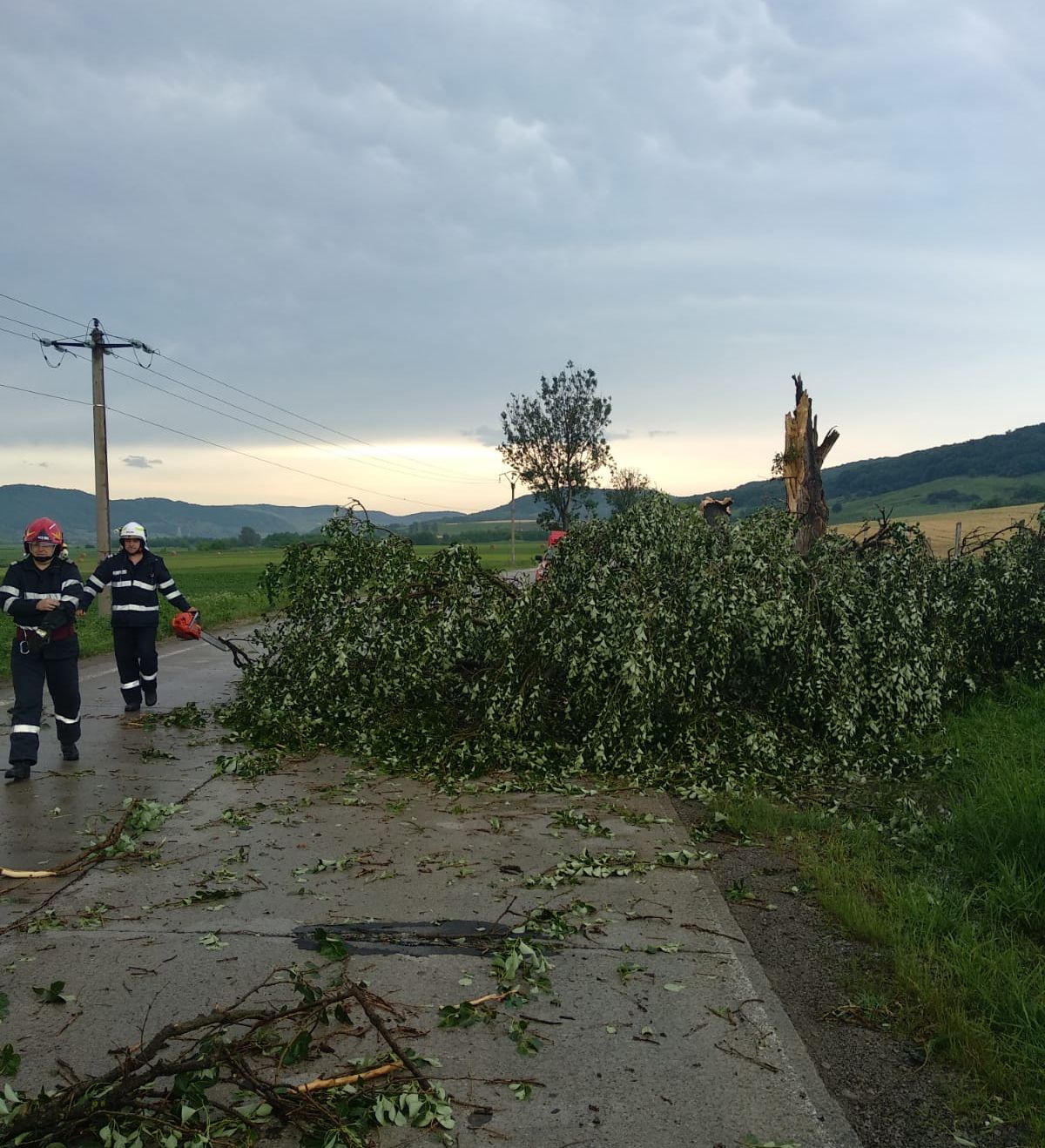 34c96b49-5d24-4a4b-86e7-f8cf5a94a24b