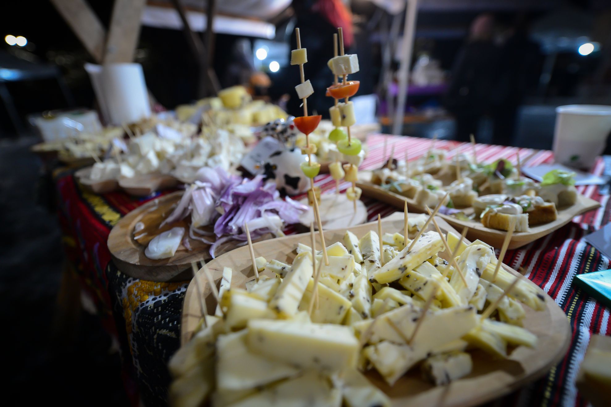 SRGE 11-13 feb. (dragos dumitru) (129)