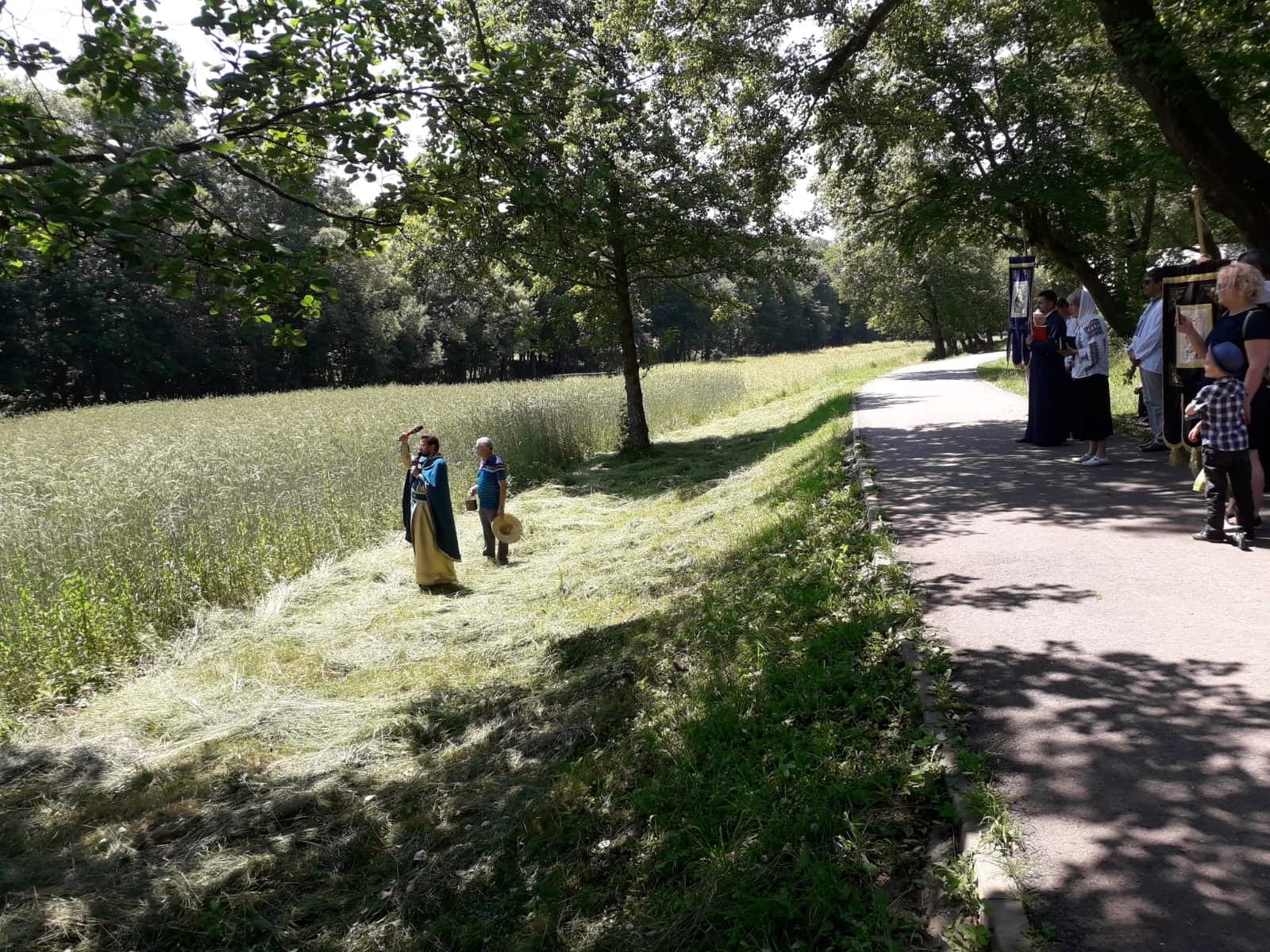 Sfintire holde Rusalii