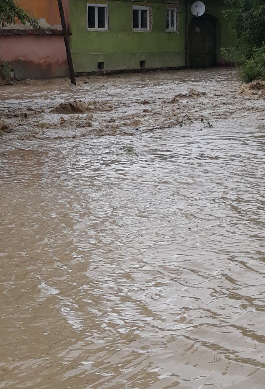 fb7ab74a-ee2e-4692-8234-0233aa704cdc