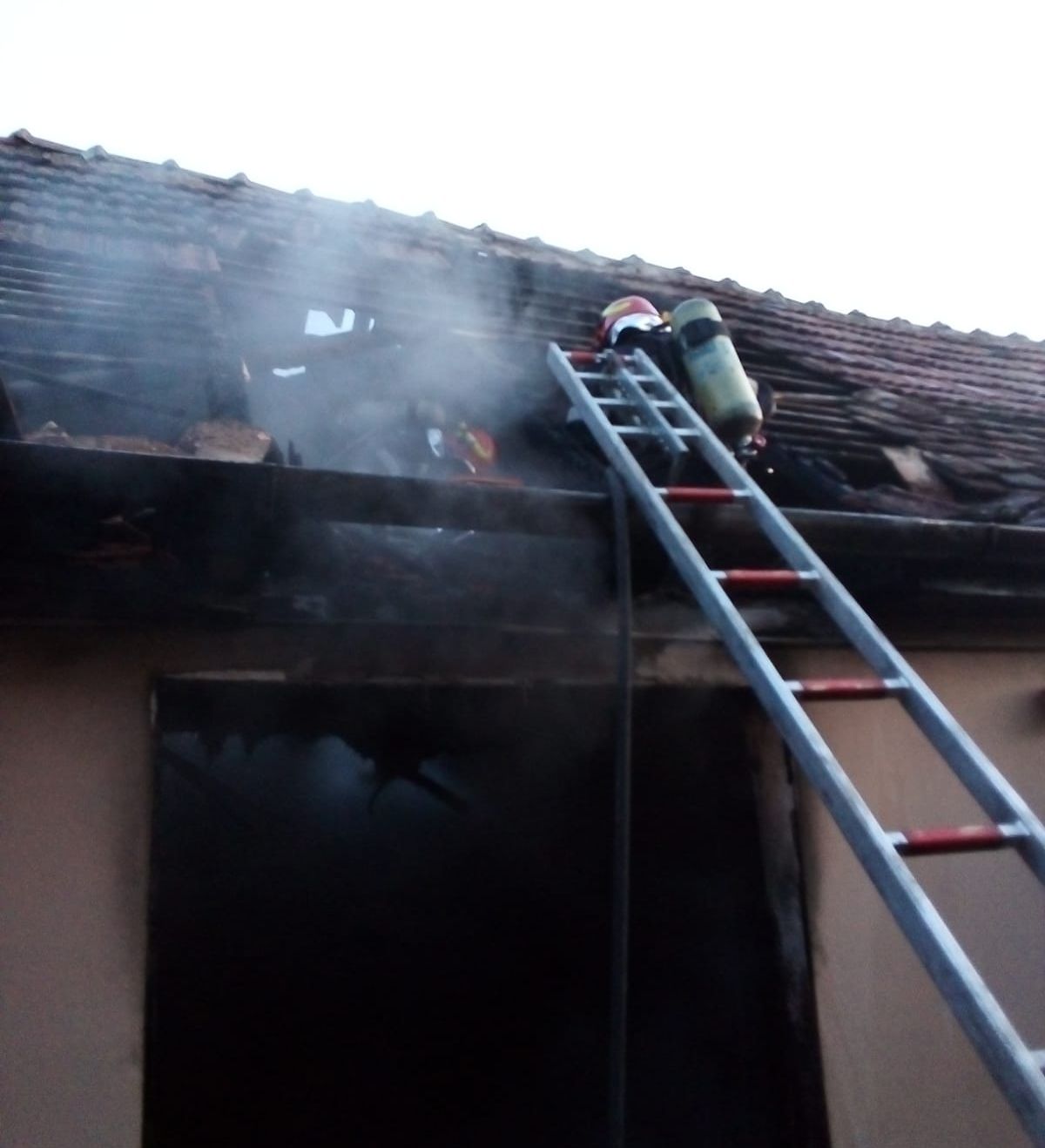 228a5796-84ea-4da6-8703-22bb8cfd6cce