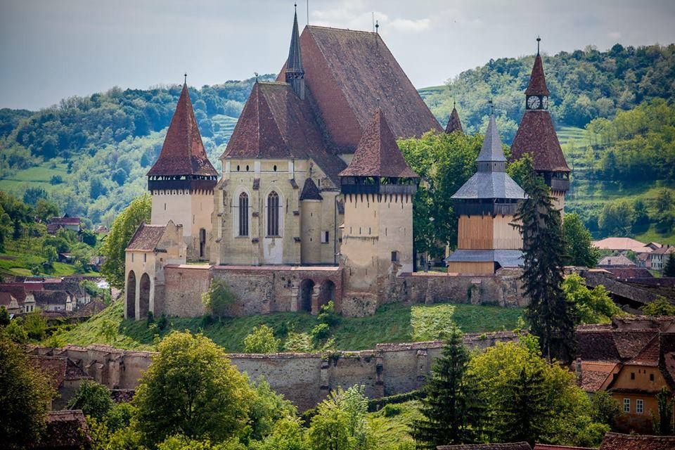 66511292_2407005119532038_5522829219643523072_n