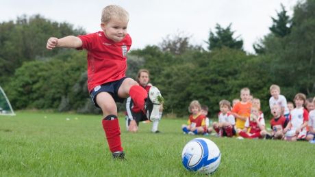 new_forest_nippers_71567700