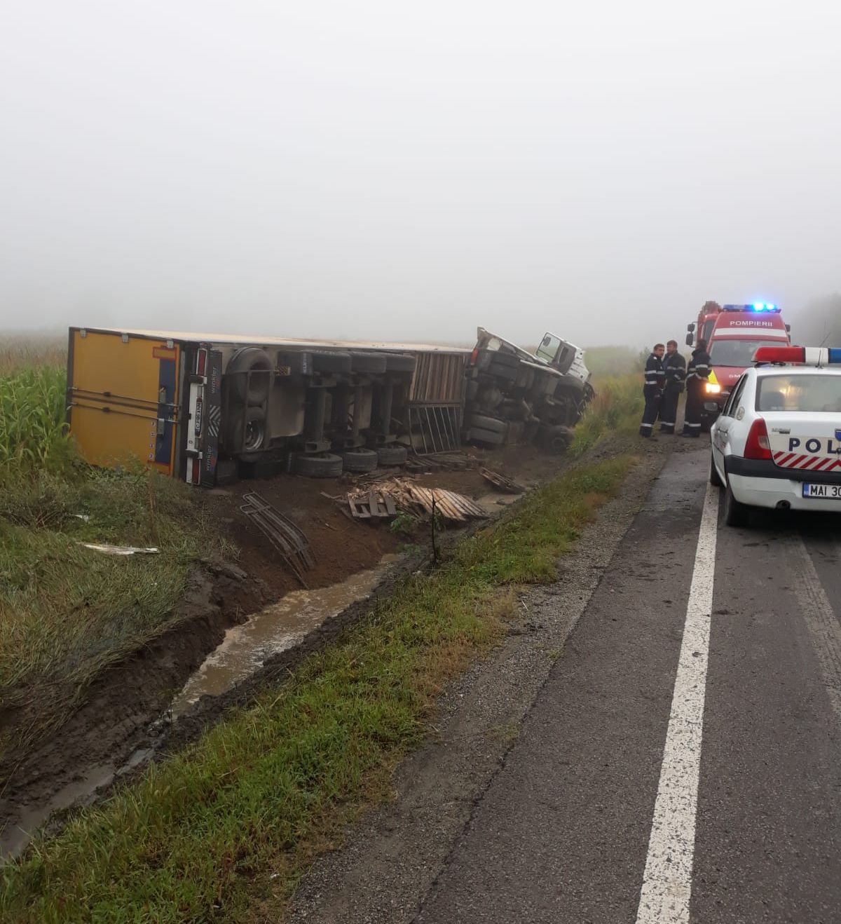 5172ff2e-4786-42e4-8858-1b8e97d64634