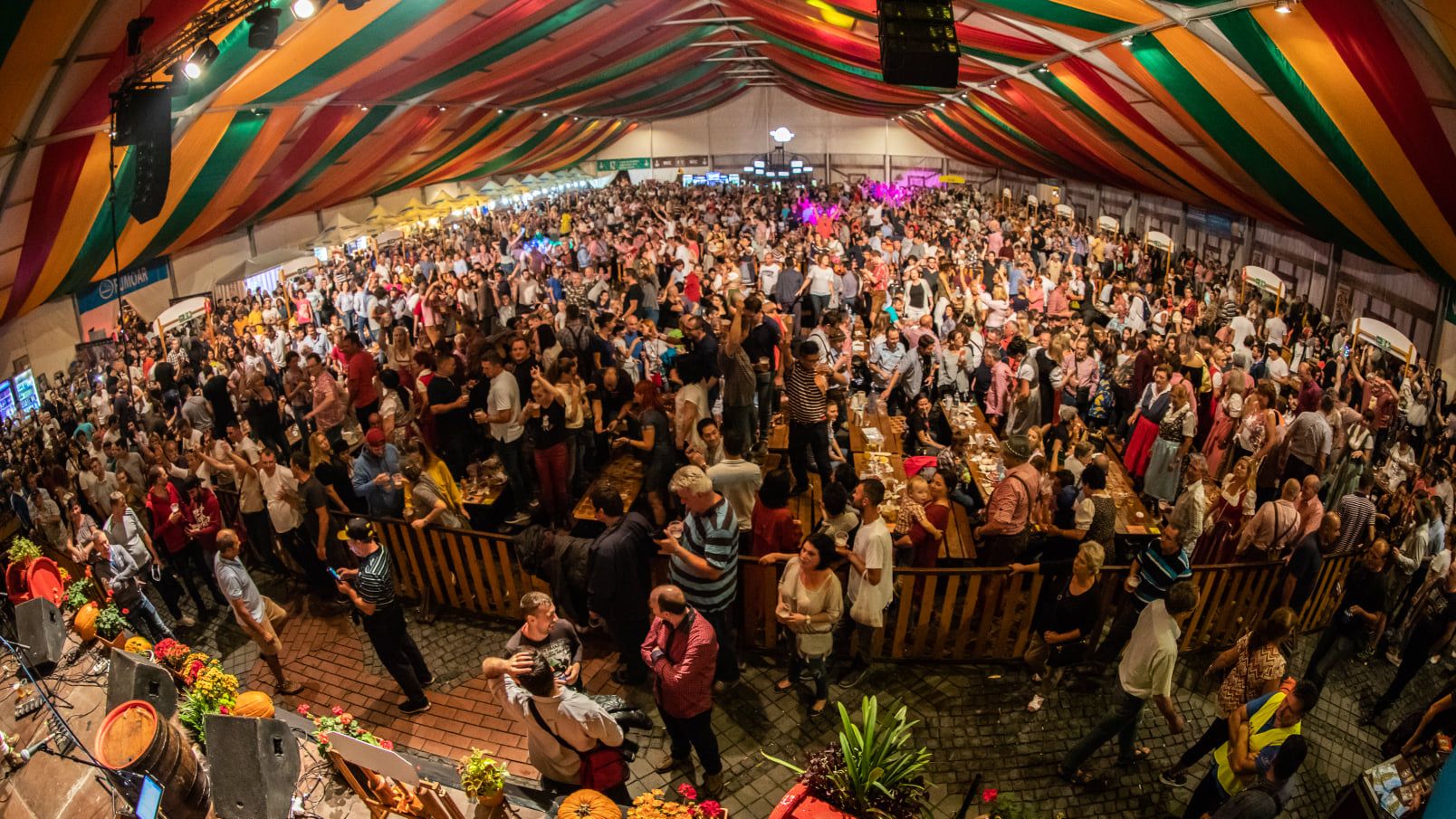 71348233_2397929820471506_2166371050152001536_o