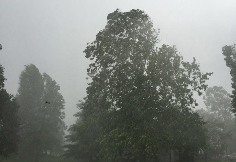 Cod galben de vânt în județul Sibiu. Vântul suflă la rafală până la 65 km/h