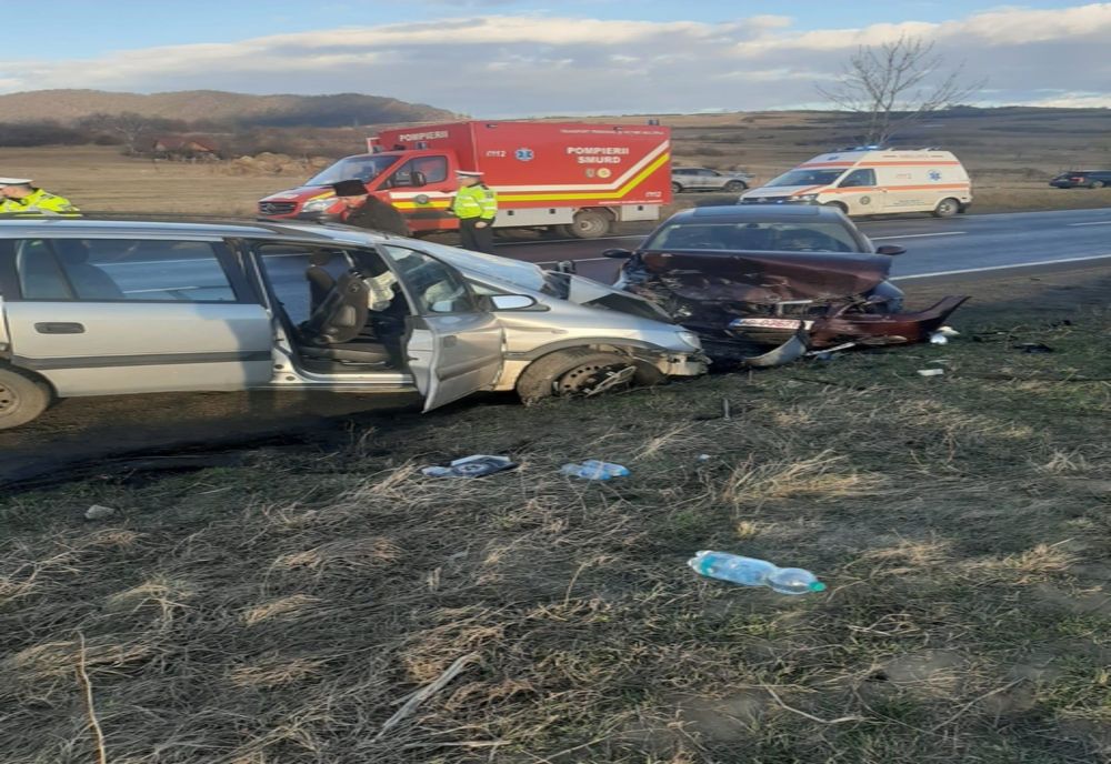 Accident pe Valea Oltului, cu zece victime