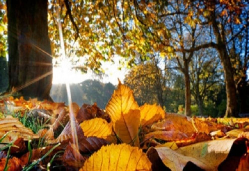 Vreme caldă pentru această perioadă, în județul Sibiu. Temperaturi între -3 și 9 grade Celsius, săptămâna viitoare