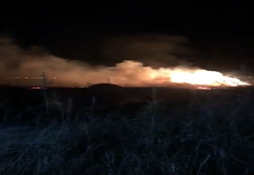 Incendiu izbucnit la o stivă de lemne și extins la vegetația uscată, în Sibiu