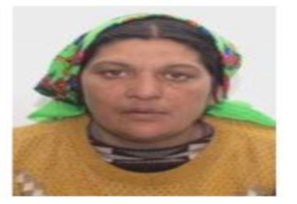 Femeie din Tălmaciu, dată dispărută. Ați văzut-o?