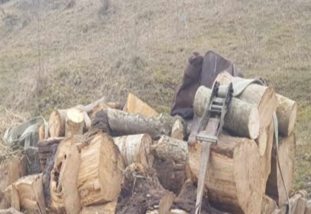 Peste 145 mc de lemne, confiscați dintr-un depozit de lemne din Sadu