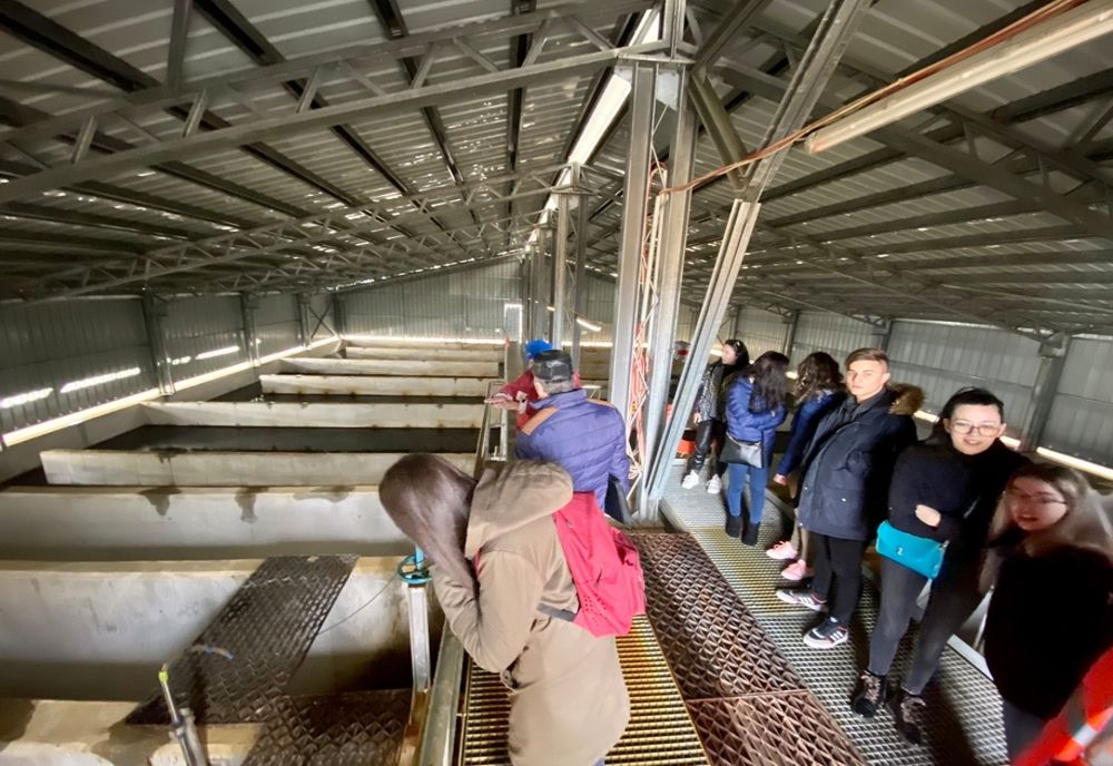 Elevii sibieni, în vizită la uzina de apă "Dumbrava"