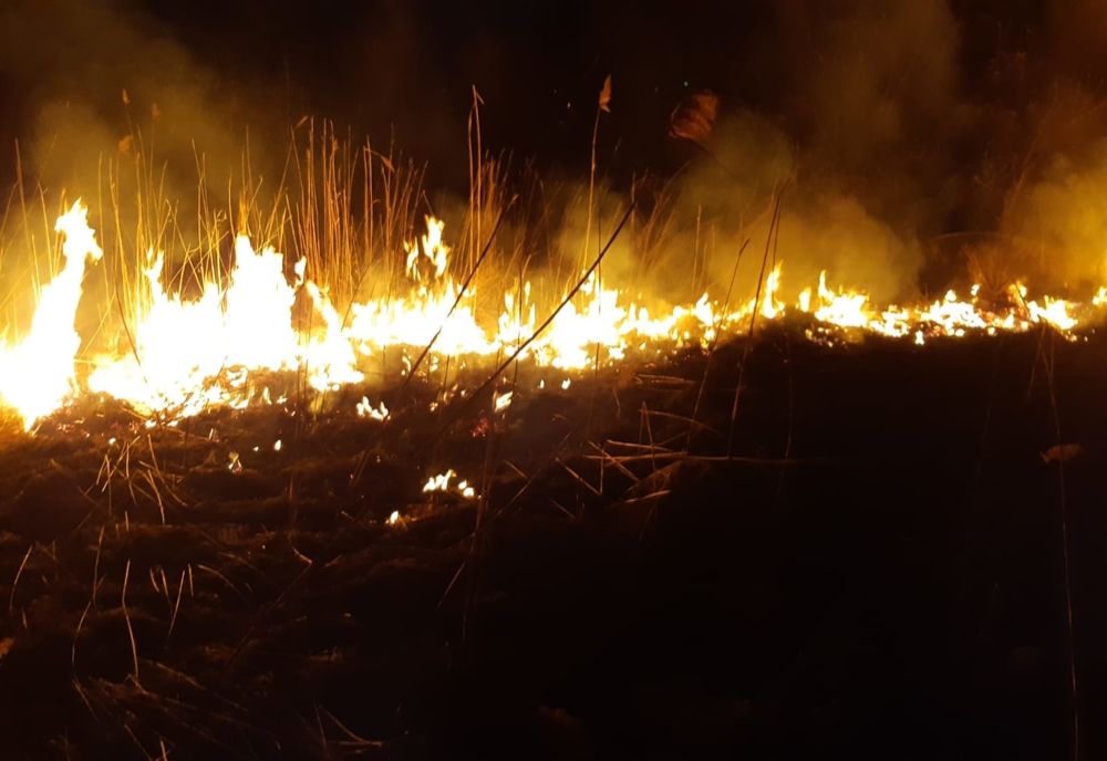 Incendiu de vegetație uscată, la ieșirea din Săliște