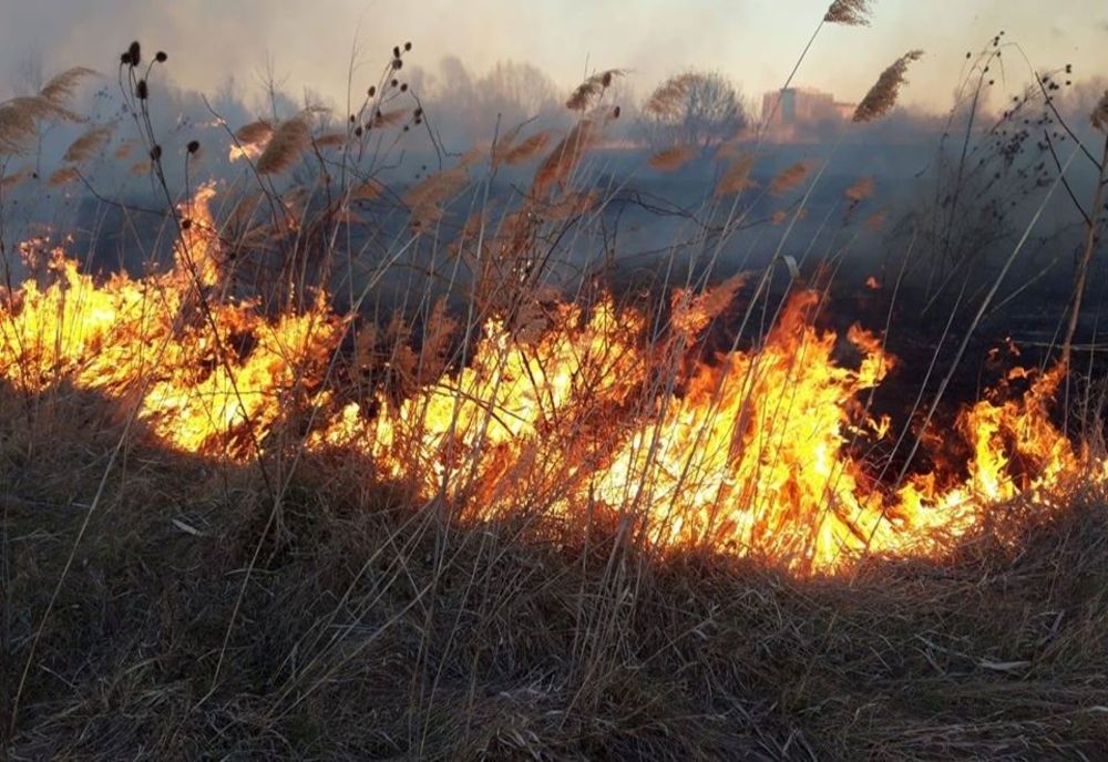Incendiu pe DN1, la Veştem. Au ars 5.500 mp de vegetaţie uscată
