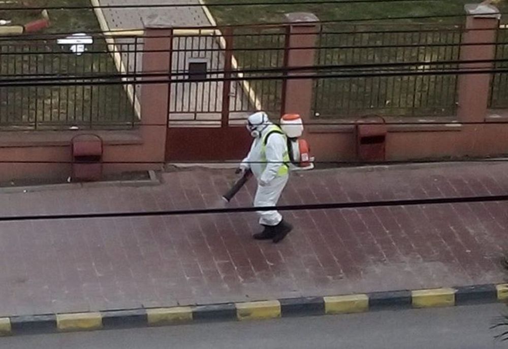 Primăria Sibiu pregătește prima campanie de dezinsecție și deratizare din acest an