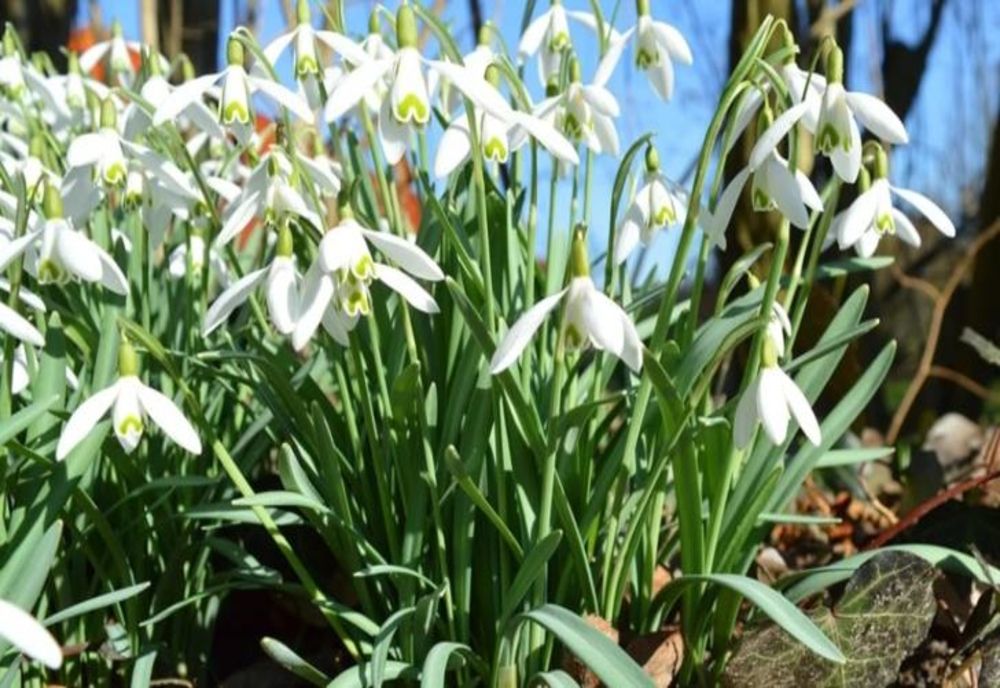 Cum va fi vremea în Săptămâna Mare, în județul Sibiu. Cald, de Paști