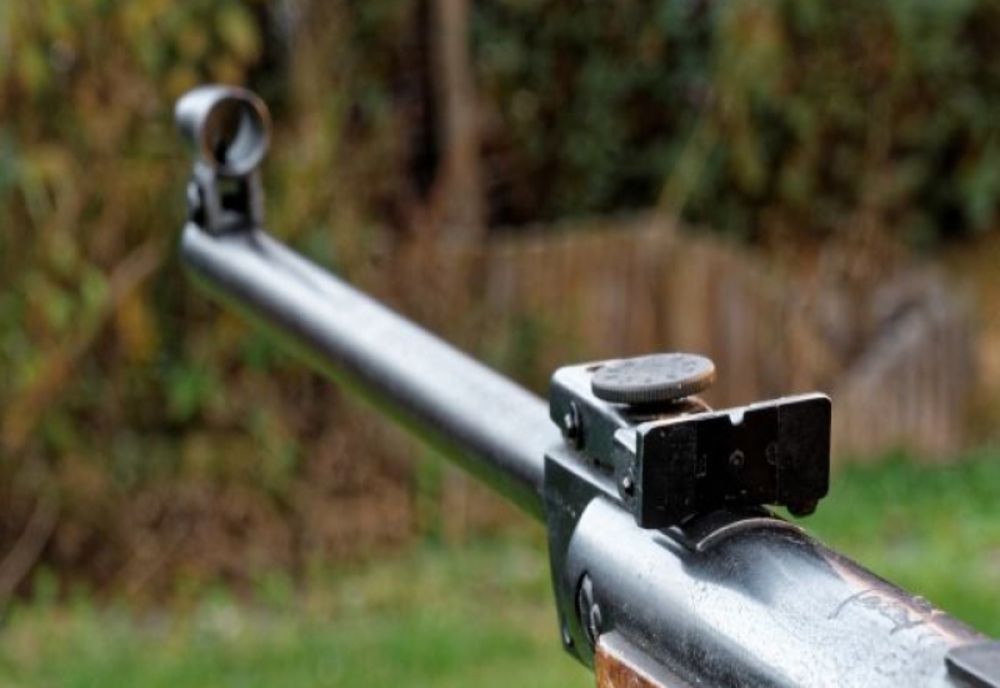 Amendă de 4.000 de lei și dosar penal pentru un bărbat de 72 de ani. Braconaj cinegetic și uz de armă fără drept în Brădeni