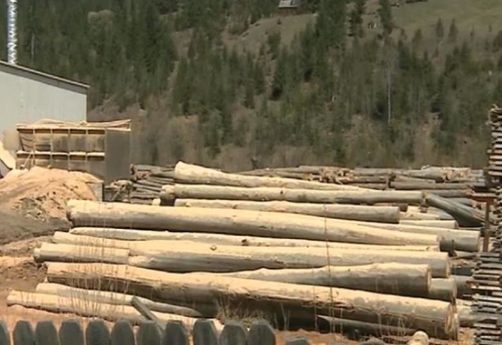 Amendă de 1.000 de lei pentru un bărbat din Dealu Frumos. Transport lemne fără documente legale