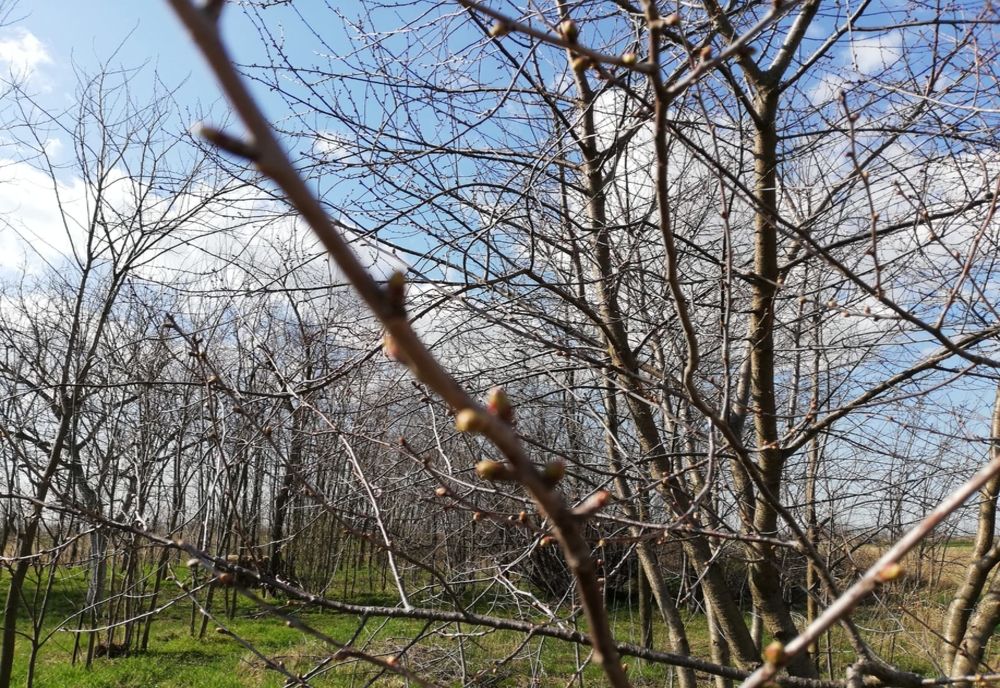 Vreme caldă, săptămâna viitoare, în județul Sibiu. Temperaturi maxime de 21 grade Celsius